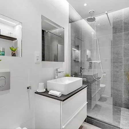 Apartment Le Codrus - Dans L'hyper Centre Toulousain Toulouse